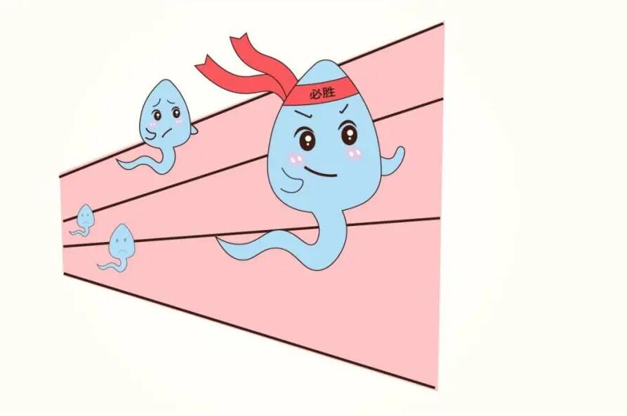 想培養(yǎng)出戰(zhàn)斗力強(qiáng)悍的小蝌蚪，靠禁欲行嗎？